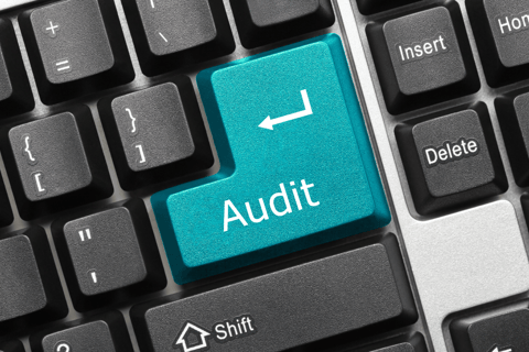 Audit  seo